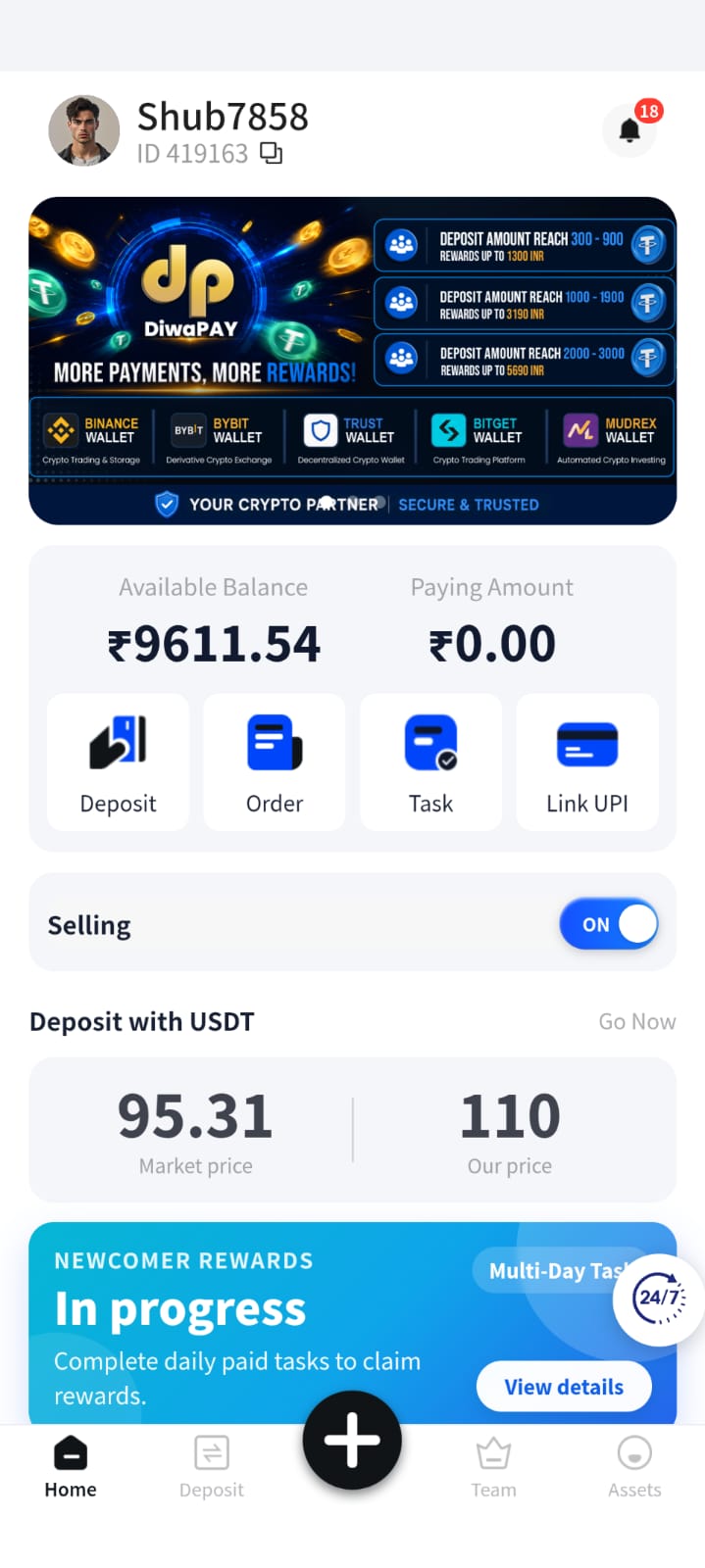 Diwapay Interface 1